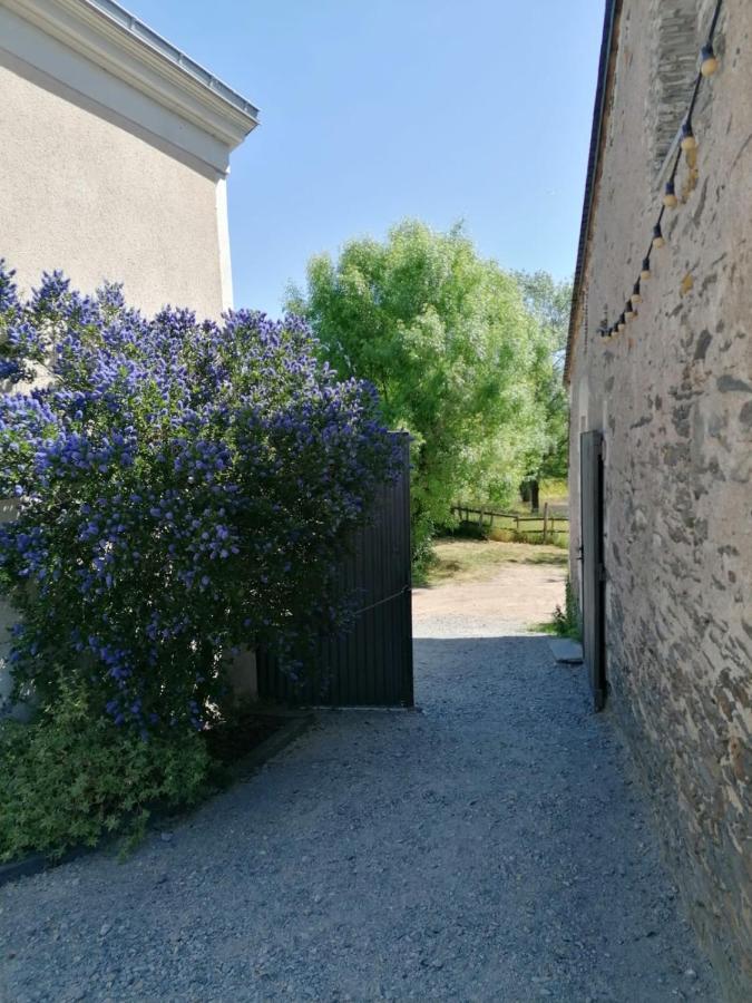 Bed & Breakfast La Petite Boire - D'hotes Pres D'angers *