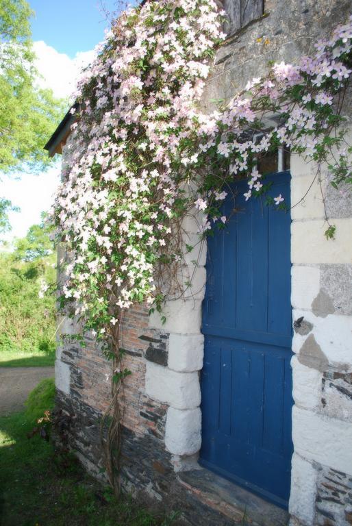 La Petite Boire - D'hotes Pres D'angers Bed & Breakfast Murs-Erigne